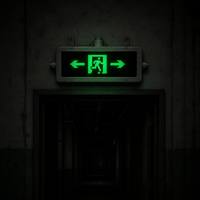 Lampe de signalisation de sortie LED à faible consommation d'énergie, sécurité avant tout, lumière blanche froide/blanche chaude, indice de protection IP67, antidéflagrante pour les stations de métro