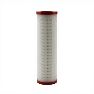 Filtre à cartouche PES de microfiltration OEM ODM fabriqué en Corée, 10 pouces, options de taille de pores - Product Image 1