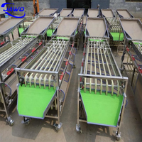 Kleine fruit sorteermachine, fruit- en groentesorteermachine