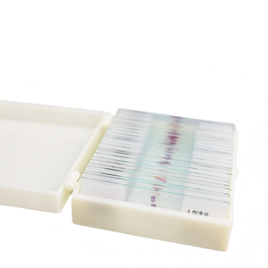 Portaobjetos de microscopio preparados con antenas tipo cerdas, especímenes de insectos transparentes con etiquetas estándar para microscopios de niños y estudiantes - Product Image 3