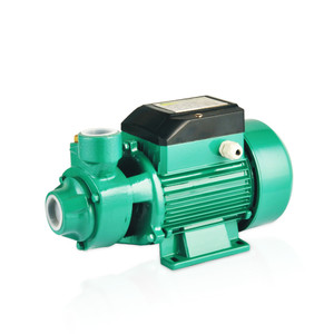 Pompe à eau électrique périphérique de surface pour maison et jardin, série <span class=keywords><strong>QB</strong></span>, 0,5 CV, 0,37 kW, moteur <span class=keywords><strong>60</strong></span>, 1,5 CV, vortex, pression - Product Image 1