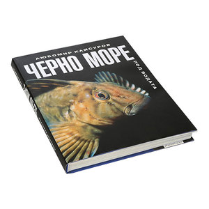 Excelentes Servicios de Impresión de Libros Infantiles, Encuadernación Perfecta para Libros de Cartón de Tapa Dura, Diseños Personalizados Ecológicos, Impresión Offset - Product Image 6