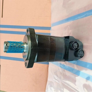 มอเตอร์ไฮดรอลิกแบบล้อหมุน TG0140MS030AAAB TG0335MS050AAAA LSHT TG0405HW440BBBB TG0360ES080AANT TG0195MS010AAAA - Product Image 5