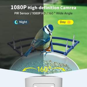 Hd Camera Zonne-Energie En Weerbestendige Behuizing Ai-Technologie Met Nachtzicht Outdoor Slimme Vogelvoeder - Product Image 4
