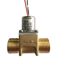 Lage Druk 6V Dc Messing G1/2 Vergrendeling Water Control Mini Magneetventiel Voor Kraan En Tuin Irrigatie systeem