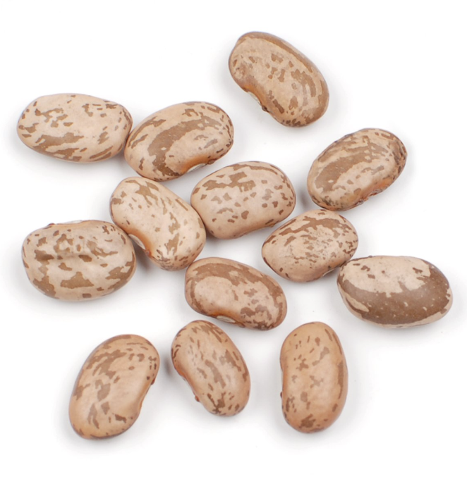 Pinto beans Ready to eat Ready To Shipping высокое качество продукции в Таиланде