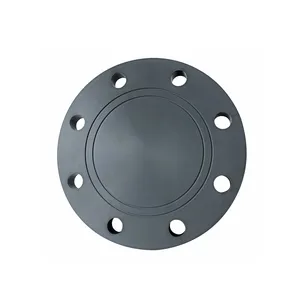 China high quality plastic flange cover DN15 to DN600 pvdf blind flange 1/2inch to 24inch CPVC blind flange