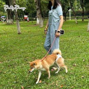 Nueva correa para caminar para perros transfronteriza a la moda, correa para el pecho para perros P con decoración de cinta sin manos, lote disponible - Product Image 3