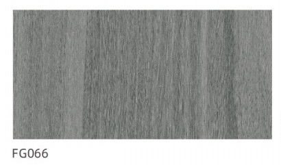 FG066