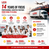 Tarifs Compétitifs Fret Maritime LCL FBA DDP Services Logistiques Porte-à-Porte Dédouanement Rapide Chine vers États-Unis, Émirats Arabes Unis, Allemagne, France, Espagne