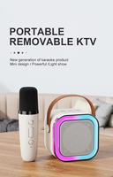 Amplificateur de musique radio karaoké avec microphone, haut-parleurs portables sans fil, haut-parleur Bluetooth karaoké