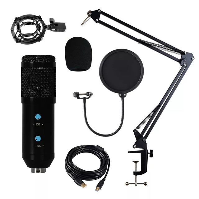 High Quality BM-838 Professional Microphone Condenser Sound Head Capsule USB Condenser Microphone Desktop Mic for Recording