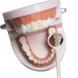 Endoscope et miroir buccal jetables pour examen dentaire en gros - Product Image 1