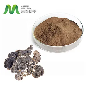 Organic Coriolus Versicolor Mushroom Extract Lyphar Powder
