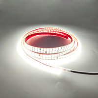 Bande lumineuse LED blanche chaude en plastique IP68 AC220V, vente chaude, décoration extérieure pour jardin, hôtel, piscine, cour, paysage