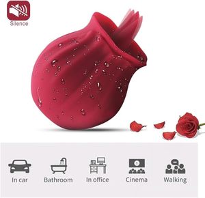 Vibrateur en silicone 10 modes de vibration stimulateur de clitoris du sein masseur à lécher <span class=keywords><strong>les</strong></span> roses jouets sexuels pour adultes pour femmes - Product Image 4