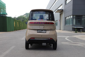 Scooter électrique EEC COC L6e SUV 2 portes 2 places à prix avantageux avec batterie au lithium pour adultes - Product Image 2