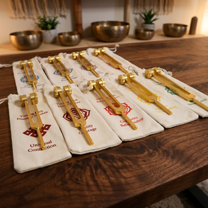 ชุดโซลเฟจโจ 9 ชิ้น ปรับแต่งอย่างมืออาชีพจาก Mars Secret .. - Product Image 4