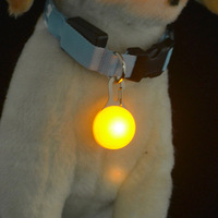 Pendentif rond pour animaux de compagnie, pendentif lumineux LED pour les promenades nocturnes avec les chiens, chien lumineux pour éviter que les animaux de compagnie ne s'en aillent perdre