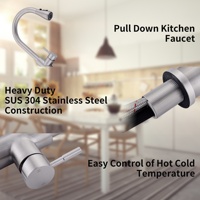 Robinet de cuisine professionnel flexible avec douchette extractible, poignée simple ou double, en acier inoxydable brossé, matériau personnalisable