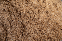 Nouveau Conditionneur de Sol en Tourbe de Coco Lavée 100% Écologique et Naturelle, Conditionné en Sac PP, Faible EC, Tan Hoi