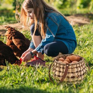 Vietnam Water Hyacinth Egg <b>Basket</b> with Leather Straps Farmhouse Egg Collecting <b>Storage</b> <b>Basket</b> - Product Image 2
