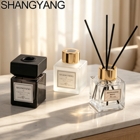 Flacon diffuseur de parfum décoratif de luxe pour la maison, 50 ml, flacons d'aromathérapie vides avec bouchon à vis, en stock