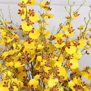 Orquídeas Artificiales Oncidium Qihao, Color Amarillo, Alta Simulación, Decoración para Bodas y Hogar - Product Image 3