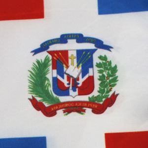 ผ้าพันคอสำเร็จการศึกษาสำหรับผู้ใหญ่ ผลิตจากโพลีเอสเตอร์ซาติน 100% สำหรับการศึกษาต่อต่างประเทศของสาธารณรัฐโดมินิกัน - Product Image 3