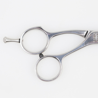 Ciseaux de coiffure professionnels en acier japonais 9CR18, kit d'éclaircissage, ciseaux de salon, ciseaux de barbier, ciseaux de coiffeur