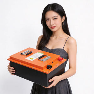 Batterie LiFePO4 haute endurance, rechargeable par énergie solaire, pour scooter électrique à 2/3/4 roues, tricycle - Product Image 1