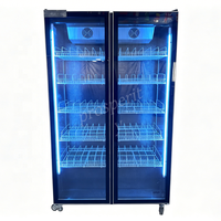 Réfrigérateur vertical à double porte vitrée pour supermarché, restauration et stockage de boissons