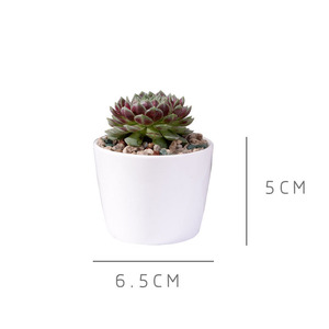 Venta al por mayor de macetas de cerámica blancas creativas, mini conjuntos circulares de flores suculentas, diseño minimalista, bonsái exhibidor para jardines de compras - Product Image 1