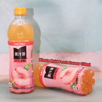 450ml Fruitdrank Diverse Smaken Verfrissende Fruitdrank Groothandel