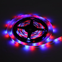 Bande lumineuse LED RVB 2835 colorée, télécommande IR 24 touches, 12V basse tension, étanche, bande lumineuse souple 5M
