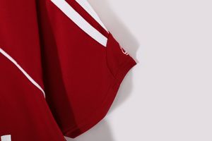 Футболка с термотрансферным принтом в стиле ретро с животным принтом, домашняя форма Баварии сезона 2006/07 - Product Image 6