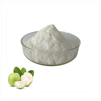 Bulk Guavasap & Fruitpoeder Voedingsmiddelenkwaliteit Oplosmiddel-geëxtraheerd Guavapoeder