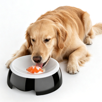 Bol interactif anti-glisse en PP et silicone, écologique et léger, pour chien, à alimentation lente, pour voyage et extérieur (OEM/ODM)