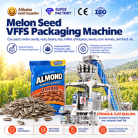 Machine d'emballage multifonctionnelle automatique verticale pour graines de melon 200g 500g