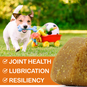 Oimmal Private Label Camilan Hewan Peliharaan Alami Organik 150 Kunyahan Lembut Suplemen untuk Kesehatan Pinggul dan Sendi Anjing Pereda Nyeri - Product Image 5