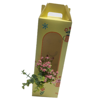 Boîte d'emballage d'arrangement de transport en pot de plante en forme de maison Offre Spéciale pour arrangement de fleurs