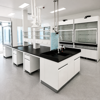 Table de travail de laboratoire de biotechnologie à structure en acier robuste avec plateau phénolique et station d'évier