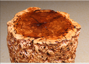 Table d'appoint en bois de jujube unique faite à la main, banc de support en bois, tabouret de tronc d'arbre de table à vendre - Product Image 5