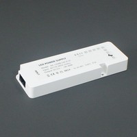 Alimentation à découpage pour armoire LED CE - Tension constante 12V 24W/36W/48W/60W/100W, entrée AC170-265V, contrôle intelligent par capteur, intensité variable