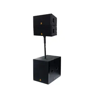 Pro Speaker Sound System 10Inch Passieve Line Array