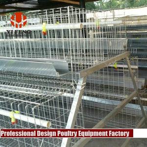 กรงไก่เนื้ออัตโนมัติแบบชุบสังกะสีสำหรับพื้นที่เขตร้อน พร้อมเคลือบกันความชื้นแบบเอเชียตะวันออกเฉียงใต้ และอุปกรณ์ให้อาหารไก่อัตโนมัติ - Product Image 4