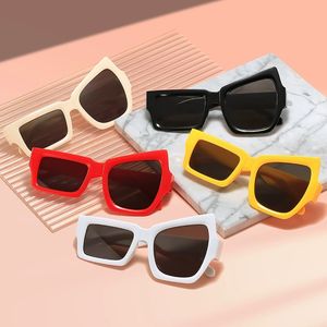 2023 rétro moderne <span class=keywords><strong>roman</strong></span> Design forme irrégulière lunettes de <span class=keywords><strong>soleil</strong></span> haute qualité Vintage verre coloré bas prix accessoire de fête - Product Image 2