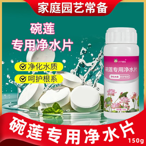 Huit comprimés de purification d'eau pour nénuphars, 150g, purifie l'eau, protège les racines - Product Image 2