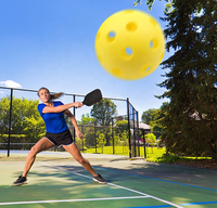Vente en gros d'usine, balles de pickleball personnalisées de haute qualité, haute élasticité, différentes couleurs, pour l'entraînement sportif en salle