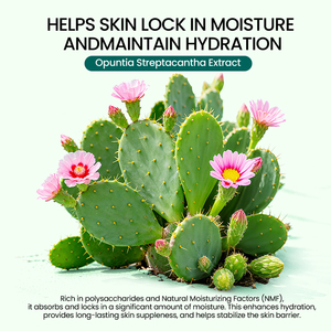 Ensemble de soins de la <span class=keywords><strong>peau</strong></span> GREENLEMCactus <span class=keywords><strong>pour</strong></span> l'hydratation et l'hydratation <span class=keywords><strong>pour</strong></span> prendre soin de votre <span class=keywords><strong>peau</strong></span>. - Product Image 6